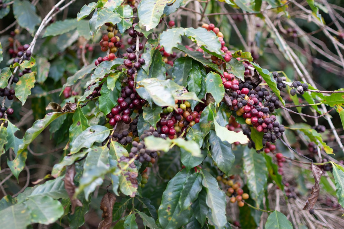 DSC_0269-2