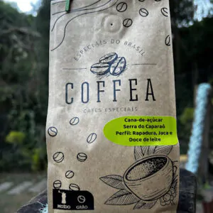 COFFEA Cana-de-açúcar