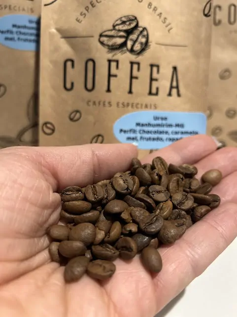 COFFEA Urso - Imagem 3