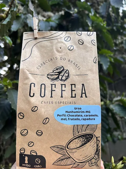 COFFEA Urso - Imagem 2