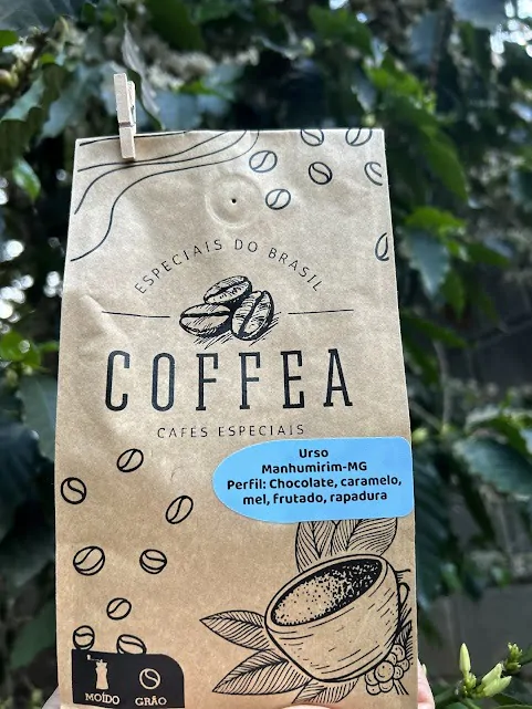 COFFEA Urso