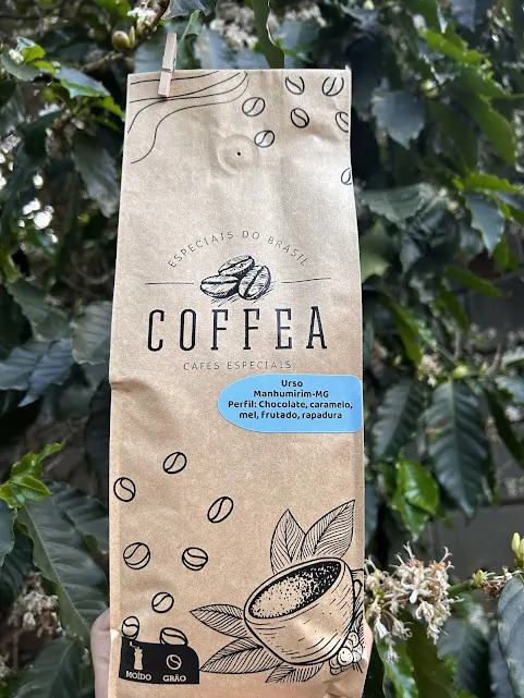 COFFEA Urso - Imagem 5